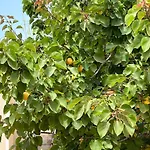 Villa Djerba La Douce